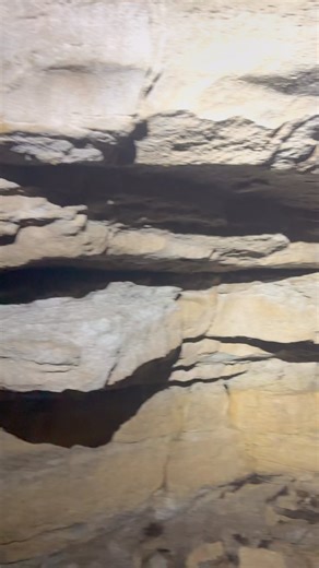 We couldn’t find a map for this cave, which made it all the more fun. Exciting discoveries around every corner, and lots of coyote 💩 in the entrance. #caving | Adventuring Light