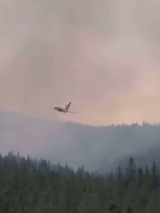 Hope Fire Update July 22nd 📍 3000 Block of Northport Flat Creek Road, Kettle Falls 📍 Stevens County, WA 📊 Containment: 55% (per NIFC) As of July 21st. Crews continue making steady progress on the Hope Fire. In the northwestern area, masticators and chippers worked to clear brush along roads and contingency lines. Firefighters patrolled near Cougar Mountain and around structures at Ansaldo Lake, extinguishing remaining heat sources to strengthen containment lines. Along the northeast corner, c