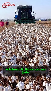 3.4K views · 29 reactions | Inside the Giant Cotton Harvesting Machines of Modern Agriculture #MedicalInnovation #HeartTechnology #BiodegradableDevices #FutureMedicine #HealthcareTech | Iqutech | Facebook
