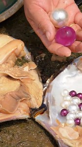 😱🎁🎁Open the shiny giant clam, and inside it is filled with dazzling pearls. How beautiful! #pearl #pearls #gems #gemstones #reels | Hai jiang