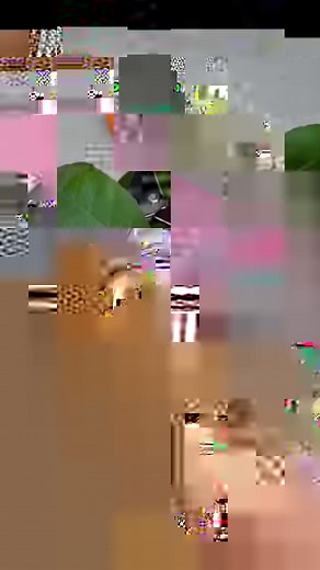 Como hacer esquejes de limonero, fácil y sencillo. #vivero #plantas #produccion #arboles #frutas | Plantpro - Planta con propósito