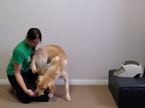 Standing Side Bend: Advanced