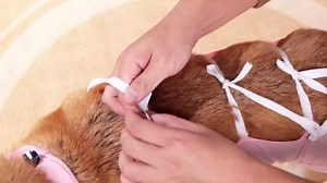 Recovery Suit for Dogs, Dog Onesies After Surgery, Prevent Licking Wounds Shirt for Male Female Dogs Blue Small