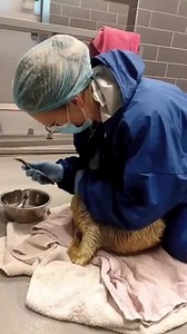 24K views · 1.5K reactions | De eerste keer vis! Afgelopen woensdag...