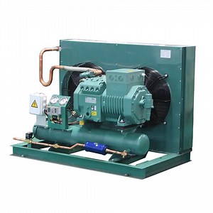 [Hot Item] Industry Condensing Units for Cold Storage Room Freezing Room Cooling Unit