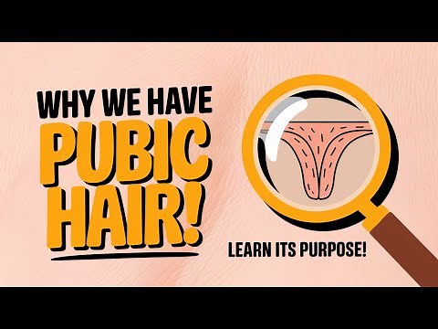 Why We Have PUBIC HAIR! Learn Its Purpose