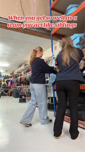 2.9K views · 42 reactions | Sunday team, as mature as ever 藍 #directpets #berwickupontweed #funny #tiktok #sunday | Direct Pets - Berwick Upon Tweed | Facebook