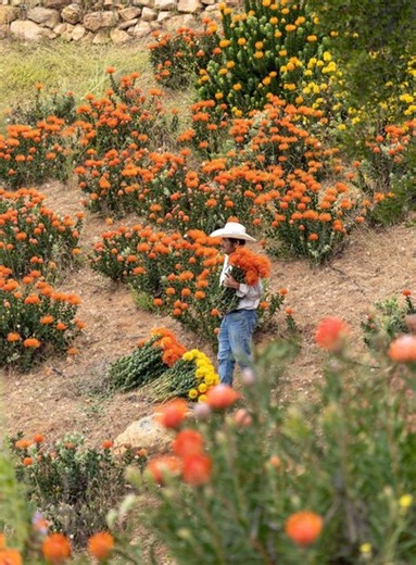 Why do YOU support California agriculture? | California Grown