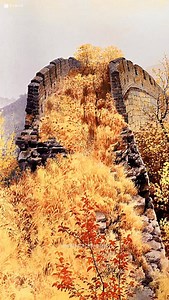 Watercolor painting by artist Huang Youwei (Douyin) — a breathtaking landscape filled with golden autumn tones and rich textural detail. The artist captures the ancient stone structure with luminous washes, delicate layering, and vibrant foliage that glows with warmth. Every stroke enhances the sense of depth, nostalgia, and natural beauty. Artist: Huang Youwei (Douyin) #watercolorpainting #watercolorart #landscapeart #fineart #paintingprocess #artinspiration #realismart #creativeexpression | Wa