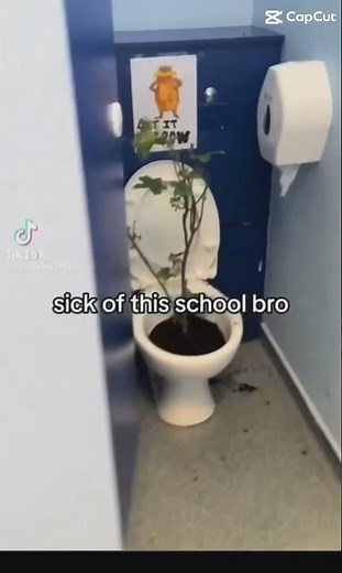 let it grow toilet meme #memes #funny #toilet #letitgrow #lorax #loraxmeme