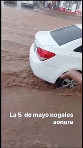 🔵🔴 Una fuerte tromba cayó en #Nogales #Sonora esta tarde. Este es otro video de la calle 5 de Mayo donde la gran corriente de agua arrasó con los vehículos #SVNNoticias 📹 Arturo Castillo | Sonora Visión Noticias SVN