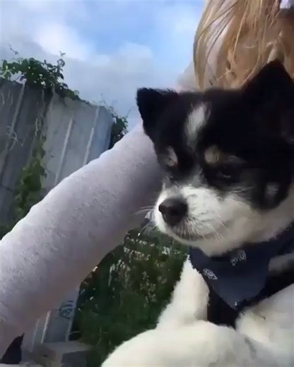 10K views · 539 reactions | Exclusive footage of Manmohan Singh and Sonia Gandhi during his term (2004 - 2014). | Bollywood Gandu | Facebook