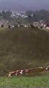 13K views · 193 reactions | Who remembers the finish of the 1986 Unadilla, with the O’Show & Hurricane! Love the photo of Johnny handing Bob his gas tank on the podium! #ClassicTimes #GloryYears #Unadilla #Moto #Motocross #80sMoto #MotoHistory | Preserving MX | Facebook