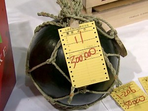 Japanese watermelon, sweet but pricey