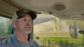 2.7K views · 28 reactions | The last field of AgriGold beans! | XtremeAg.farm | Facebook
