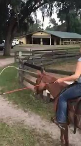 14K views · 279 reactions | Here's one of my Mastery Students, Sophie...