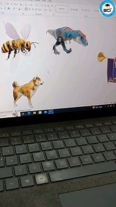 How to insert Animated 3D Model in MS Word . . . #excel #Data #spreadsheet #instagram #instagood #instaviral #sheets #spreadsheets #googlesheets #finance #viral #instareels #MSword #Word #successcomputermawana #mehboobrajput #3d #animation #model | Mehboob Rajput | Facebook