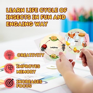 Ensemble éducatif sur le cycle de vie des insectes | Ressources scientifiques pour l'enseignement à domicile | Activités stimulantes pour les passionnés de sciences - Etsy France