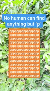 45K views · 5.4K reactions | #search #find | Math & Puzzle | Facebook