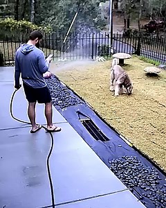 Dog gives woman a hug just when she needed it the most!😥 | Rush Brush