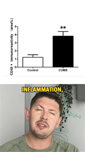 Leaky Gut In Rats Is Mainly Caused by THIS! - IBS, Leaky gut, Candida & SIBO | Heal Your Gut Guy