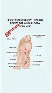This foot reflexology chart highlights specific pressure points that correspond to vital organs