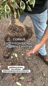 3K views · 56 reactions | #add WEB-SHOP...