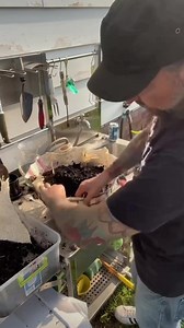 Lining your baskets with burlap for the first time can be a little tricky so I made a tutorial for those of you who are interested in trying it. #garden #gardening #flowerbasket | Dirty Punk Gardening