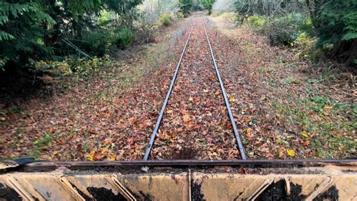 1.4K views · 46 reactions | Regulator regulating. | Mt. Rainier Scenic Railroad | Facebook