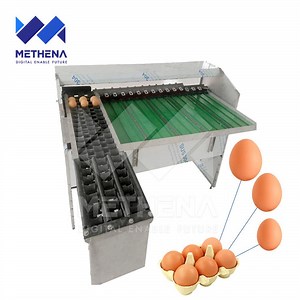 [Hot Item] Stainless Steel Automatic Mini Cheap Egg Clean Sort Grade Packing Candle Size Sorting Gear Machine by Weight