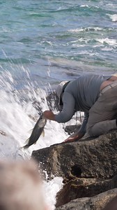 What would you do for a fish?(Today at the Haulover Inlet jetty). #fishing #hauloverinlet #fishinglife | Joseph Levy