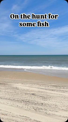 Cape Lookout is amazing. #fishing #surffishing #beach #outdoors #beachlife #northcarolina #offroading | Ruben Vasquez