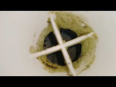 Kenmore 80 Series Top Load Washer and Dryer Review