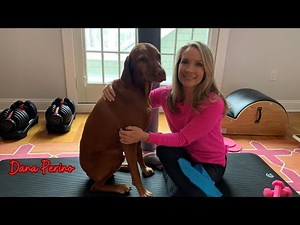 Dana Perino's Actual Size Exposed and It Will Blow Your Mind