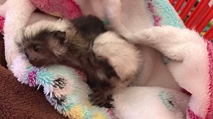 #monkeytown | Monkey Town Venue | Facebook