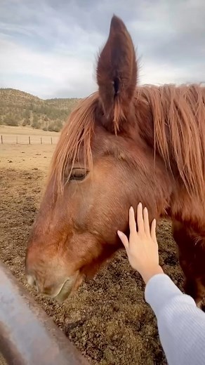 “If you’re an adventurous soul looking for an off-the-grid destination, look no further than Vermejo.” ~ 🖋️📸@wanderfullyplanned | Ted Turner Reserves