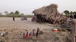 How to unload timber from the top of a trolley with a tractor | Muaaz Ullah