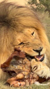 18K views · 5.1K reactions | If you look closely at this clip, you’ll...