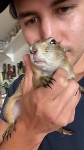 111K views · 5.4K reactions | A small compilation of Poppy the Prairie Dogs Wahoos and Yahoos! Sound up!  | Prairie Dog | Facebook