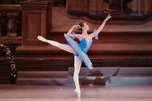 Donate to Help Uliana goto YAPG Finals NY2016, organized by Uliana Mikhed