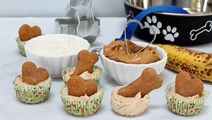 Easy and Healthy Homemade Treats for Your Puppy – Top Dog Tips