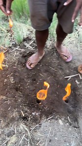 261K views · 3.2K reactions | Raw Gas leakage in Nipa ,Southern Highlands Province. ❤ #gasleakage #nipa #southernhighlands #PNG | Exposing PNG | Facebook