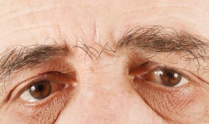 Massive Megapixel Close-Ups