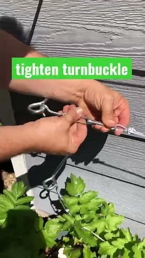 Espalier Apple Tree Setup 🍎