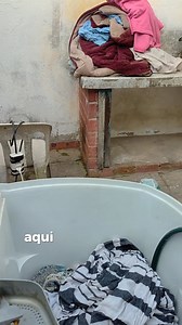 15K views · 1.1K reactions | Episódio 056. Sem Folga! . Episódio gravado no dia 01 de Junho de 2025 Postaremos 4 a 5 episódios por dia até alcançarmos a data atual. . . . #CasadasCorgas #Saquarema #DiariodaReforma #CasaAbandonada #Reforma #Familia #FamíliaSöndahl #Desafio #DIY #AntesEDepois #CasaNova #Adventure #Viral #Trend #FYP #SaquaFlow #Gratidao #300k | Casa das Corgas | Facebook