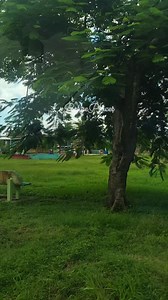 #Dangriga 🇧🇿 . . #belizeplaces #travelbelize #Caribbean #BelizeTravel #unbelievable #Belize | Belize Places