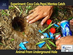 Welcome To My Page! Here is an fishing vs experiment channel. Follow...