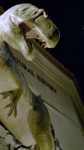 160 reactions · 4 comments | Rock on the Rock After-Hours Fundraiser at AZMNH | Arizona Museum of Natural History | Facebook