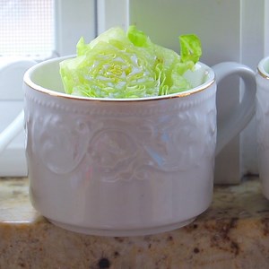 How to Regrow Romaine Lettuce Quickly? Instructions: https://cicili.tv/regrow-romaine-lettuce/ | CiCi Li
