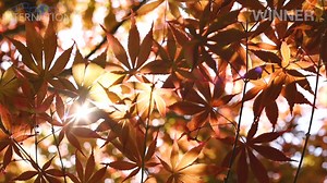 3.3K views | Winning entries from the 2022 Button Poetry Video Contest! The 2024 Button Poetry Video Contest opens July 19 - Get your videos ready ️ Shockie G. Nick Courmon Jassmine Parks Darian Dauchan Jazmine Bunch Angela Kong Mario Reyes Maria Michelle Porsche Veu Meghann Plunkett #videocontest #buttonpoetry #winners #poetry #poetryvideo #spokenword #foryou #contest #submissions | Button Poetry | Facebook